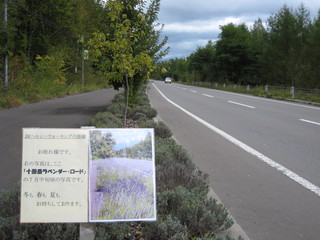 20080928121948.jpg