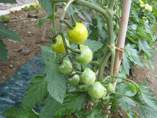 IMG_8936.jpg