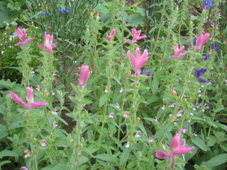 IMG_8944.jpg