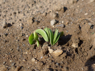 P1150023.JPG