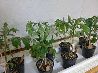 P1220422.JPG
