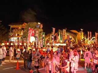 P1260994.jpg
