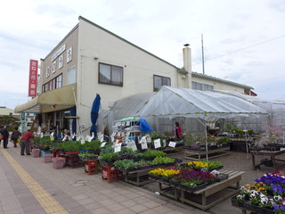 P1610399.JPG